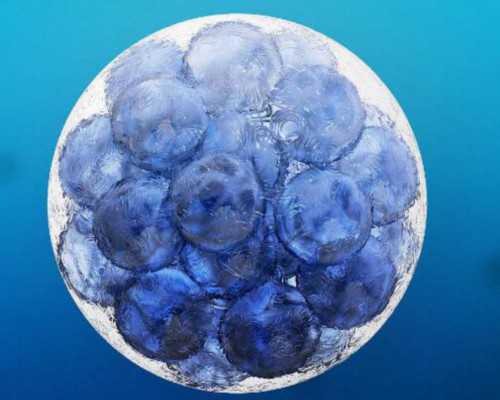 代怀男宝~取卵第二天被告知继续观察[取卵成功]