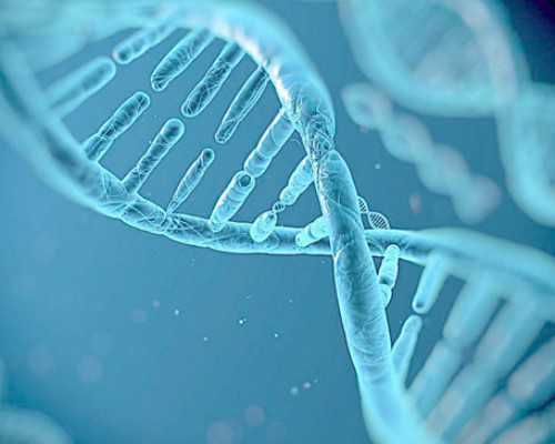 国内供卵机构排名榜,单亲试管婴儿包生男孩做一次多少钱？附费用明细？