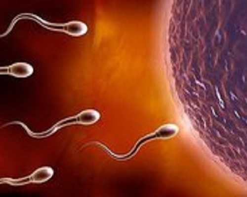 国内供卵生殖中心网站官网,泰国试管婴儿可以吗，附详细费用一览！