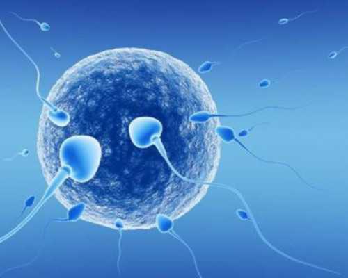 国内试管代怀生子的医院,哈萨克斯坦试管多少钱具体流程如何