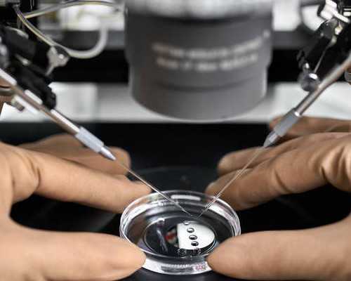 供卵代生男孩~泰国第三代试管婴儿技术成功率高吗