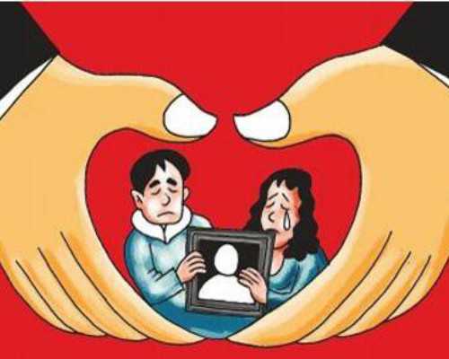 国内代孕生子怎样上户口,夏季孕妇消暑食谱：哈密瓜蒸蛋，原来还可这样吃