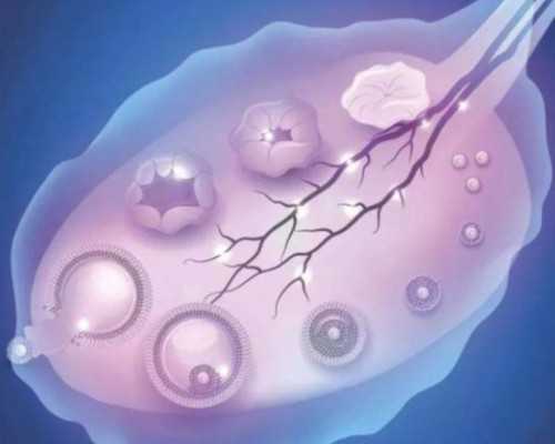 国内供卵去哪里找,贵州兴义试管婴儿医院排名附试管婴儿成功率一览
