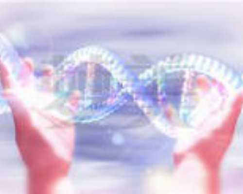 国内供卵高端机构排名,三代试管流程及费用标准