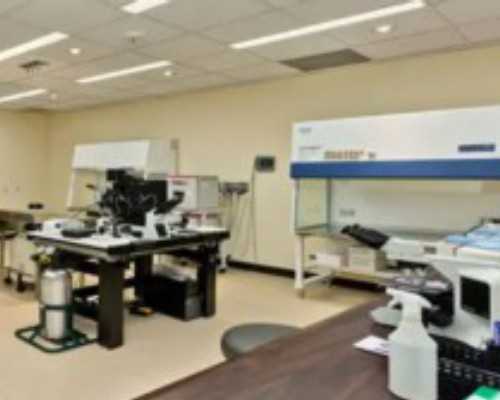 国内最好的私人供卵机构,叶酸什么时间段吃最好叶酸是不可缺少的备孕产品