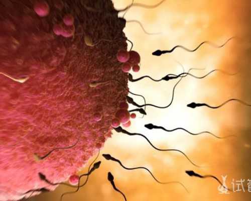 国内捐卵中心,上海供卵代怀生男孩，谁说幼稚子宫不能怀孕