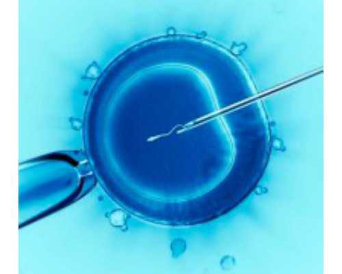 代怀生子公司~为什么大家都选择去泰国做试管婴儿？因为...