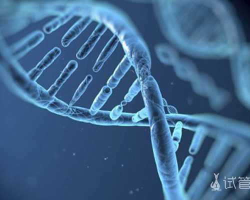 供精代怀机构~泰国试管高龄做多少钱，高龄泰国试管婴儿多