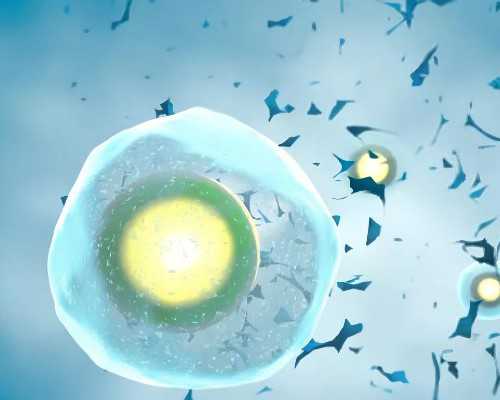 国内供卵试管怎么样,做试管婴儿需要多少钱避开不好的影响