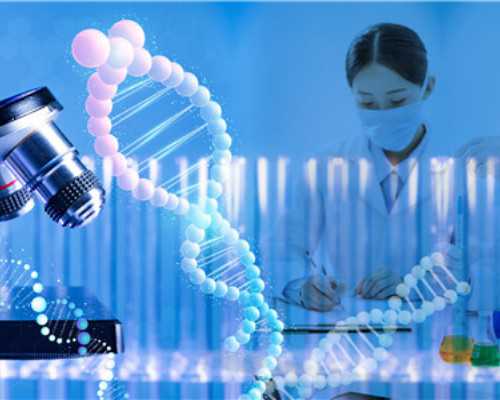 人工助孕服务~岳阳妇幼做试管婴儿怎么样岳阳市妇幼试管婴儿费用大概多少