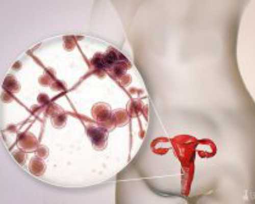 中国哪家医院供卵不用排队,胡忠医院做供卵试管婴儿不同阶段分别是多少钱？