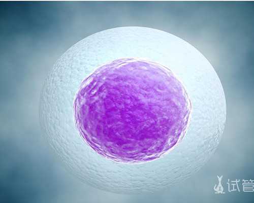 国内代怀公司咨询,宝宝一出生就要补3种营养不可错过，别让孩子输在起跑线上