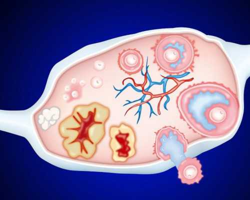 国内哪家供卵公司好点,大龄女性怎么备孕比较安全大龄女性备孕指南
