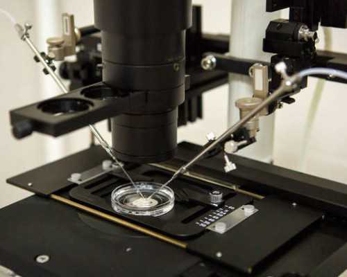 中国捐卵试管医院排名,卵巢早衰闭经的供卵试管,卵巢早衰闭经能做供卵试管吗