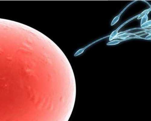 国内代生宝宝价钱,试管婴儿技术涉及胚胎移植！试管婴儿胚胎的相关问题