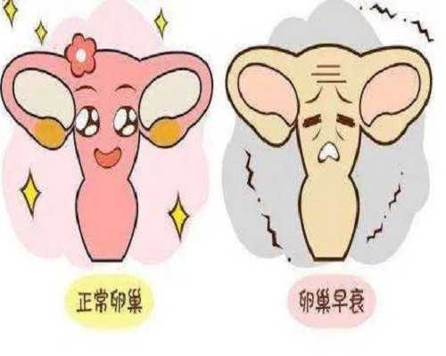 国内排队等供卵时间,疤痕子宫在百色做试管的机构有哪些，右江民族医学院附属医院做试管的成功率及费用明细