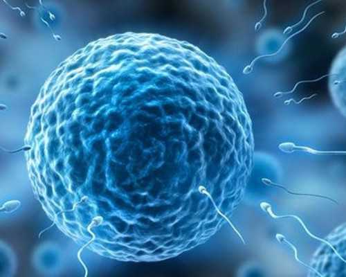 国内试管代生,最初的和最后的爱情(关于最初的和最后的爱情介绍)