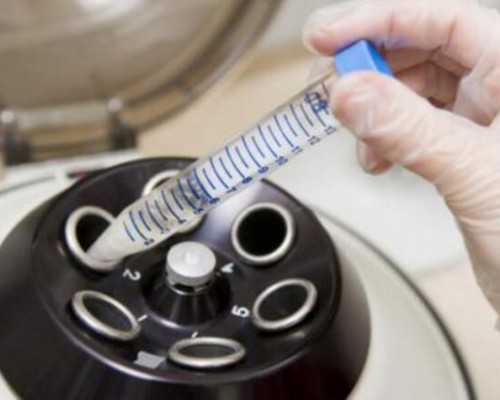 国内供卵机构中介,一文解读：试管二代对男方*的要求，看完不在迷茫