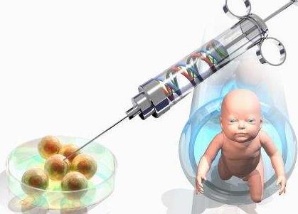 2024泰国试管婴儿成功率公布附上最新收费清单